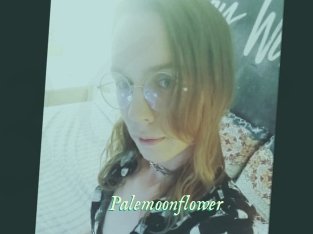 Palemoonflower