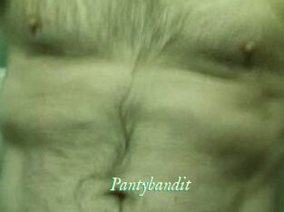 Pantybandit