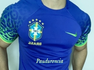 Paudurencia