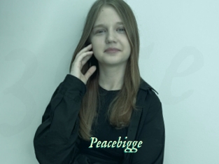 Peacebigge