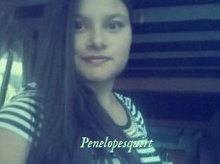 Penelopesquirt