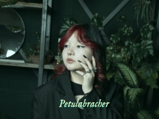 Petulabracher