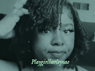 Playgirlharleynae