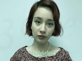 Pollyforland