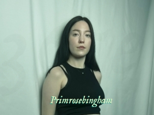 Primrosebingham