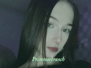 Primrosebranch