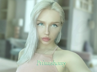 Princesbunny