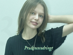Prudencecodringt