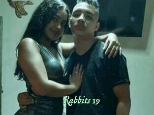 Rabbits_19