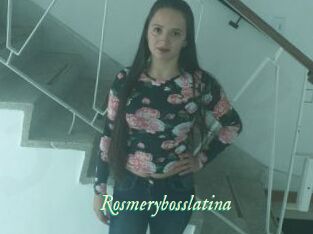 Rosmerybosslatina