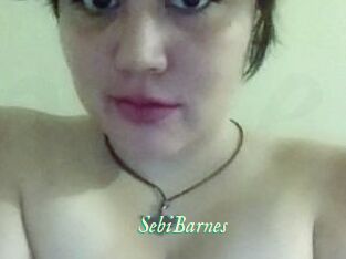 Sebi_Barnes