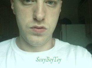 SexyBoyToy