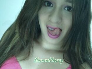 Shantallhorny