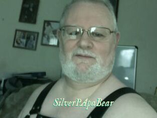 SilverPApaBear