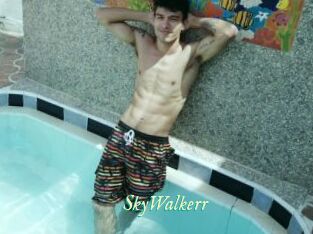 SkyWalkerr