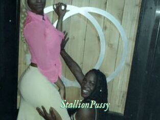 StallionPussy