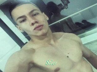 Stier