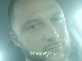 Stroke_of_penis