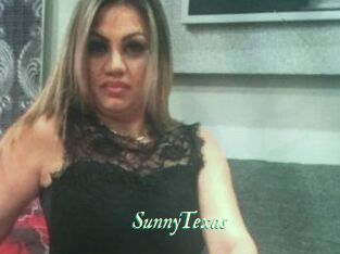 SunnyTexas