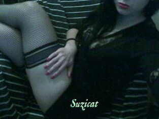 Suzicat