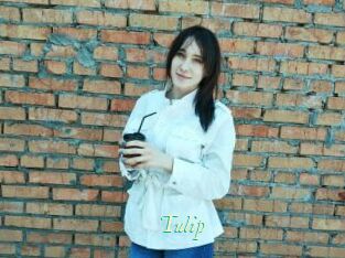 Tulip