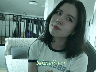 Sakuraflower