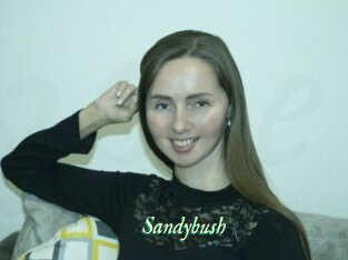 Sandybush