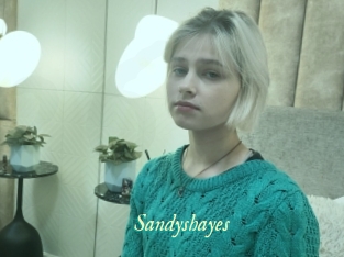 Sandyshayes