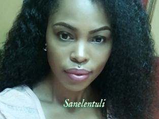 Sanelentuli