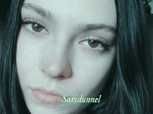Saridunnel