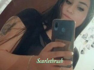 Scarlethrush