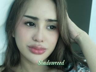 Shadowreed