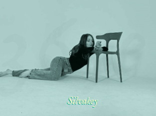 Silvakey