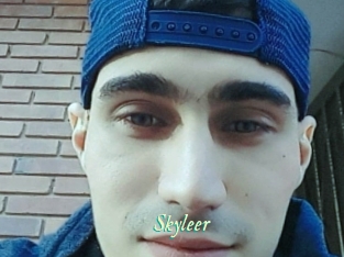 Skyleer