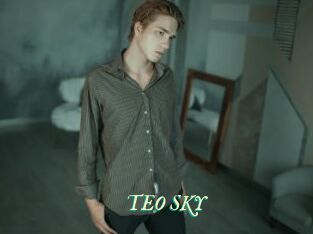 TEO_SKY