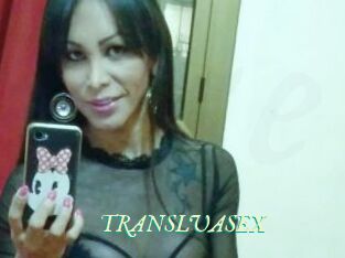 TRANSLUASEX