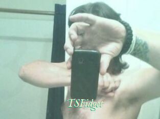 TSFidget