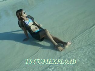 TS_CUMEXPLOAD