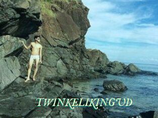 TWINKELIKINGUD