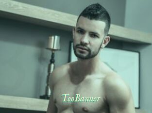 TeoBanner