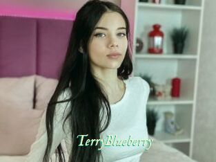 TerryBlueberry