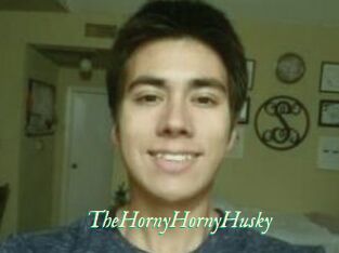 TheHornyHornyHusky