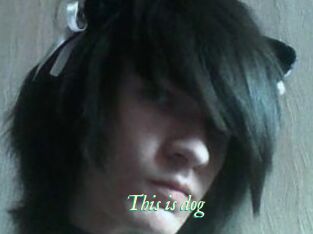 This_is_dog