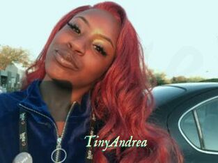 TinyAndrea