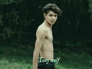 Tony_wolf