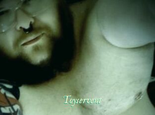 Toyservent