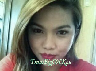 TransBigCOCK4u