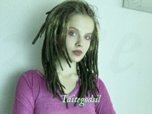 Taitegodsil