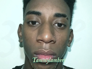 Tammylambert
