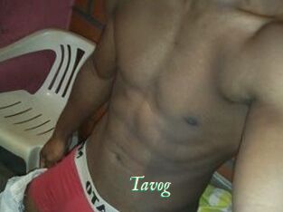 Tavog
